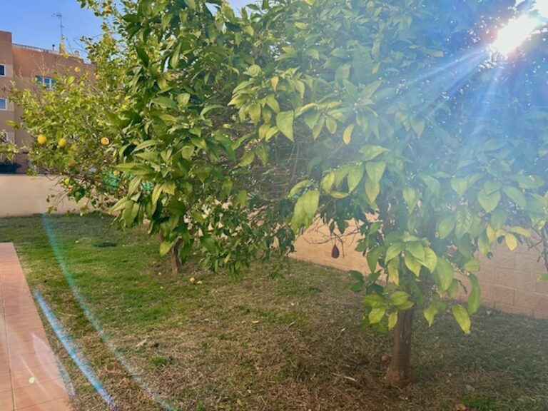 ddd7bc6da8d08394078fb0dc3f5d84e5 - 10