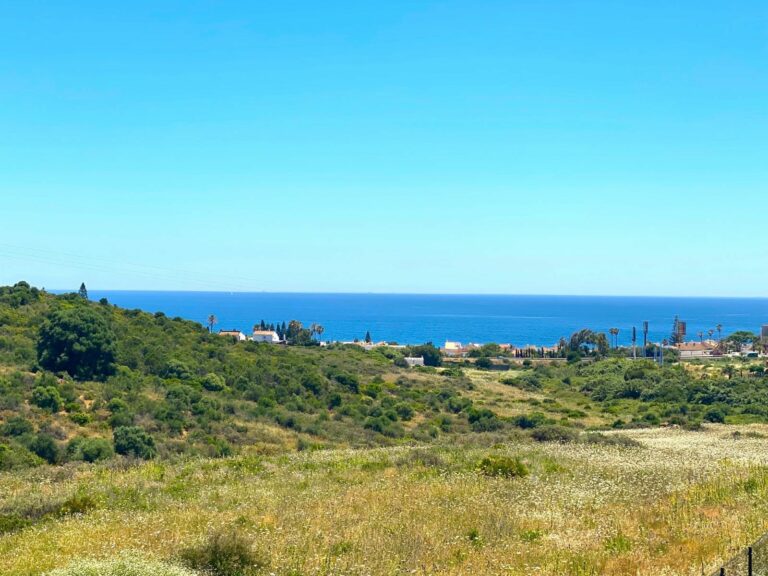 eff14d1206e45d8c3f1d91cb30e40da7 - 16