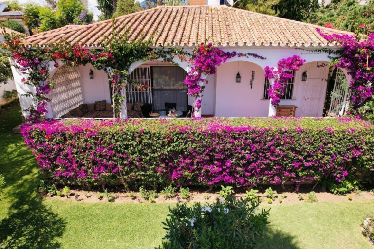 f9d58ee9a93962279874938a7897d9db - 10