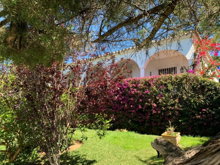 f9d58ee9a93962279874938a7897d9db - 4