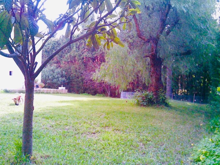 041a8dc785ad80f4fc0018ceda9bf782 - 10