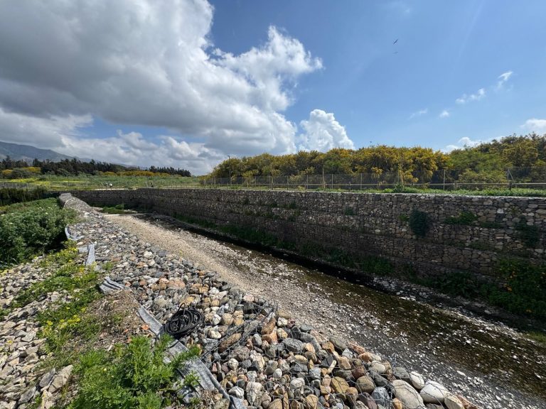 04503c0b4536c19ce0141fdc33886f70 - 11