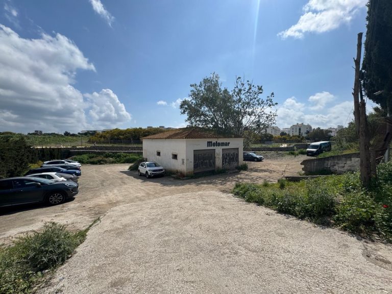 04503c0b4536c19ce0141fdc33886f70 - 3