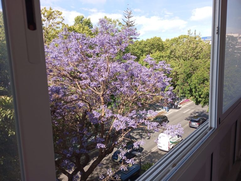 08ae0e544c8dadd0520f10e5567e8788 - 1