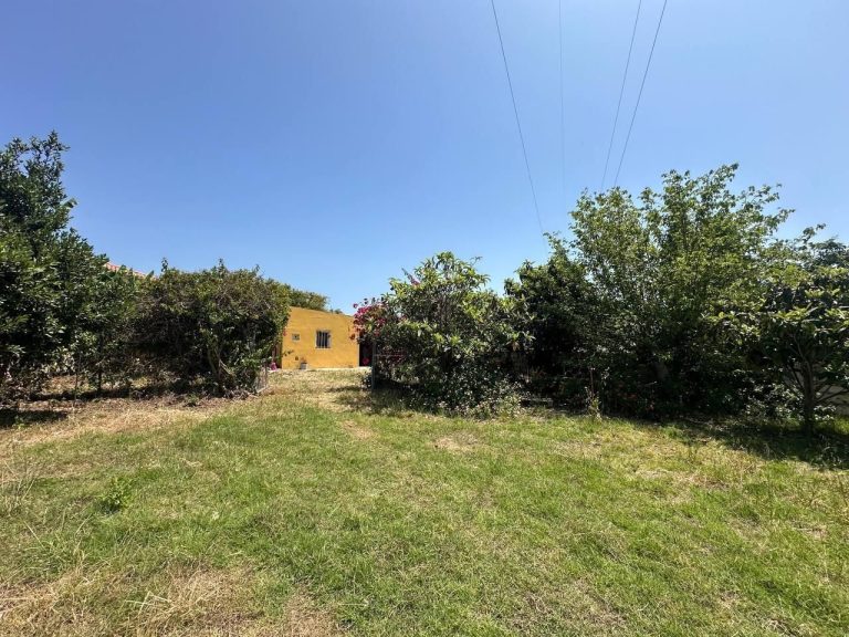 0ade56fb32f8d37afd4b8cdf97ad1845 - 14