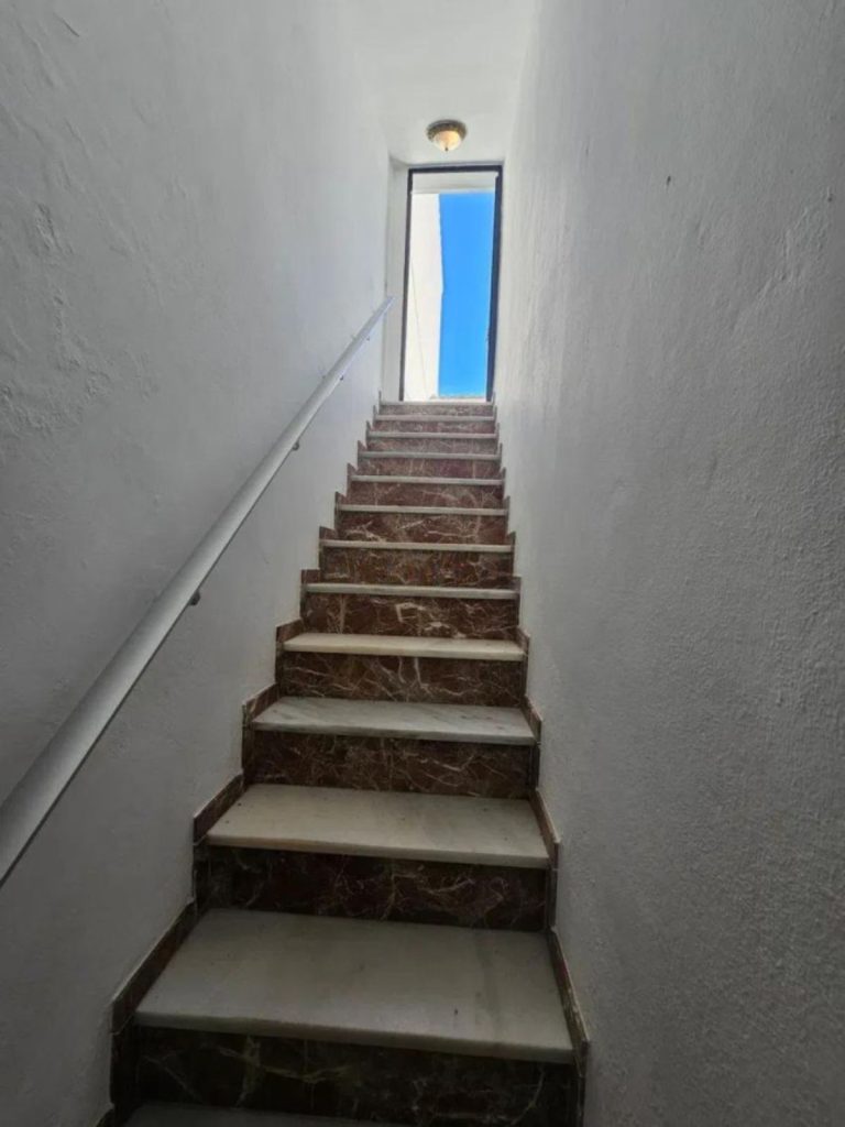 0b5a3ecc844e9e3161ef0c71519f483b - 12