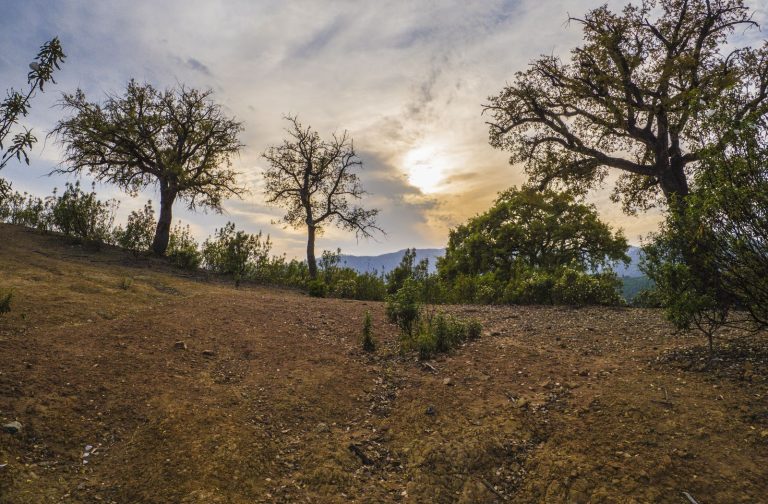 0d0e2ddf02e531b4c32baa5ae4fbe6c0 - 10