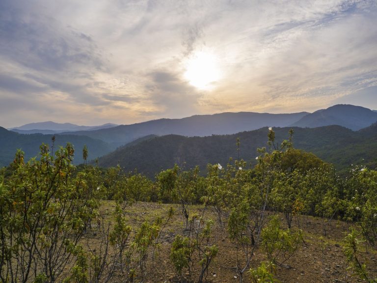 0d0e2ddf02e531b4c32baa5ae4fbe6c0 - 11