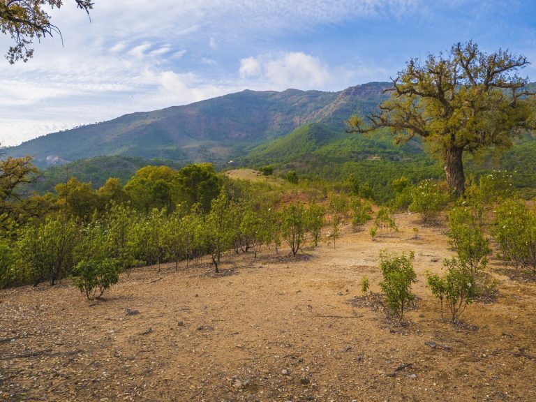 0d0e2ddf02e531b4c32baa5ae4fbe6c0 - 3