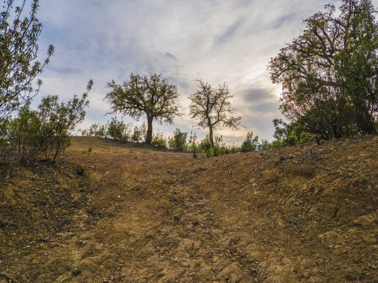 0d0e2ddf02e531b4c32baa5ae4fbe6c0 - 8