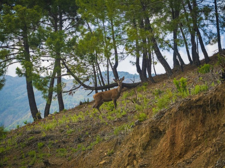 0d0e2ddf02e531b4c32baa5ae4fbe6c0 - 9