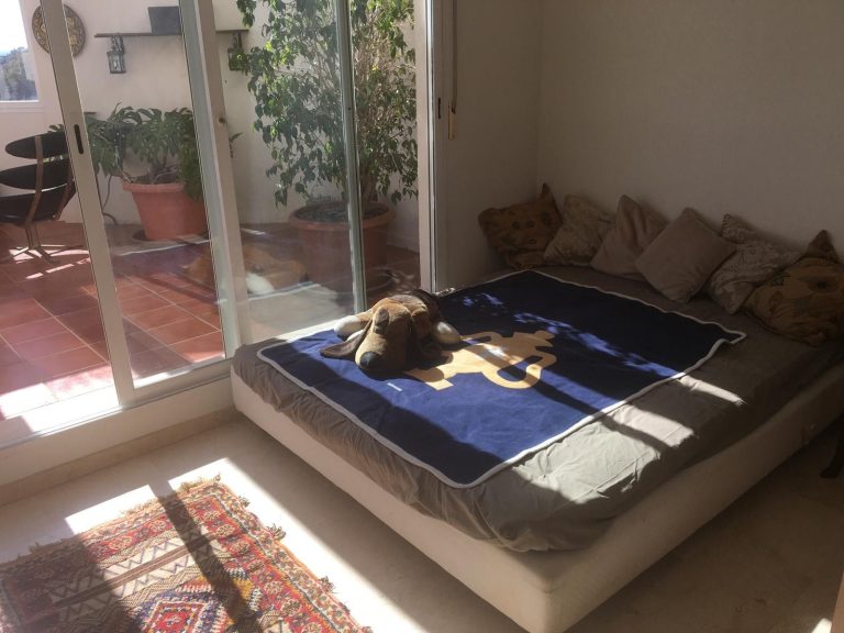 0d76850fc650dd9b22cd7ef49437267c - 14