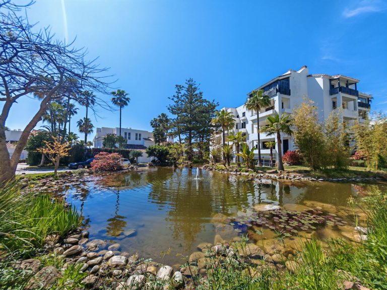 0e68738afb15f2a2345de0052b3b3867 - 16