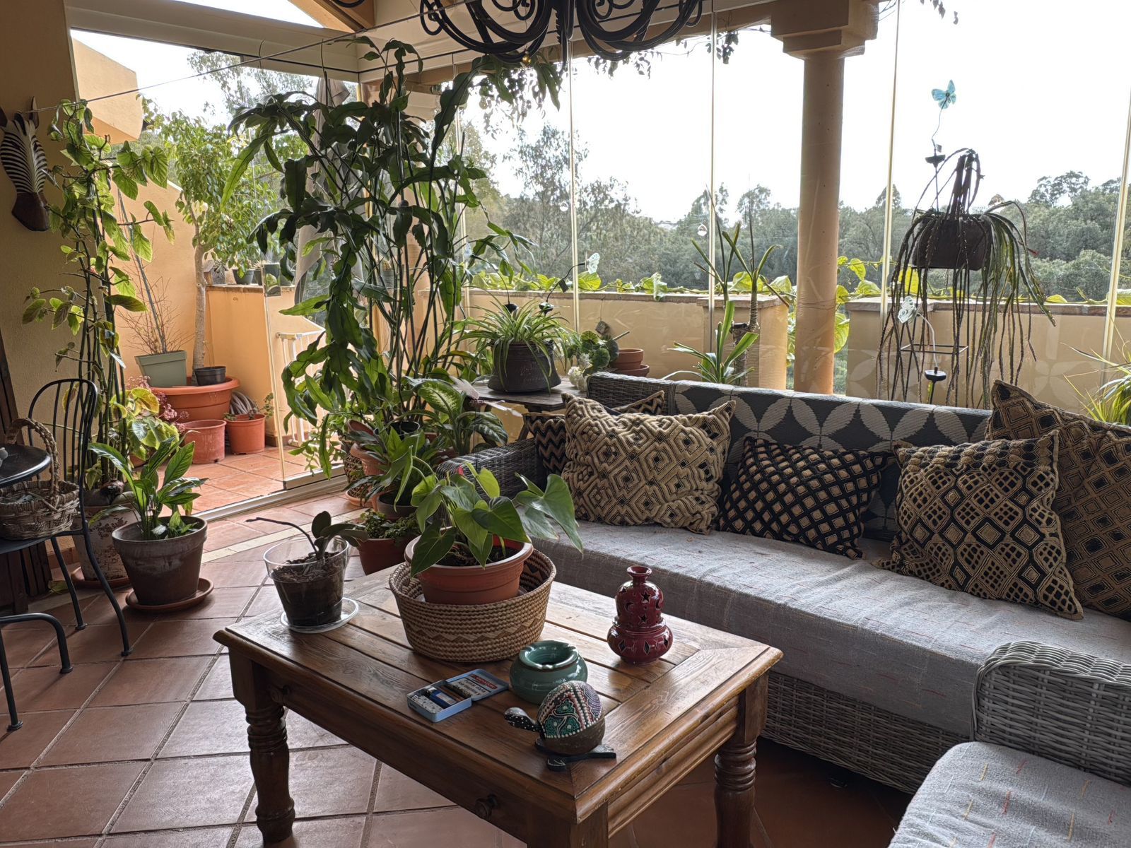 1c1036002f8b3bab0be600b6564a427b - 16