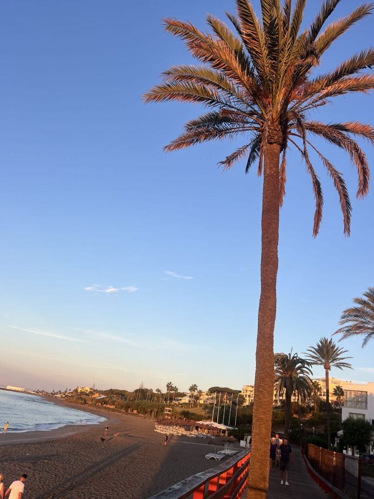 1c204a0d24dec7b674ec8d1deb158730 - 14