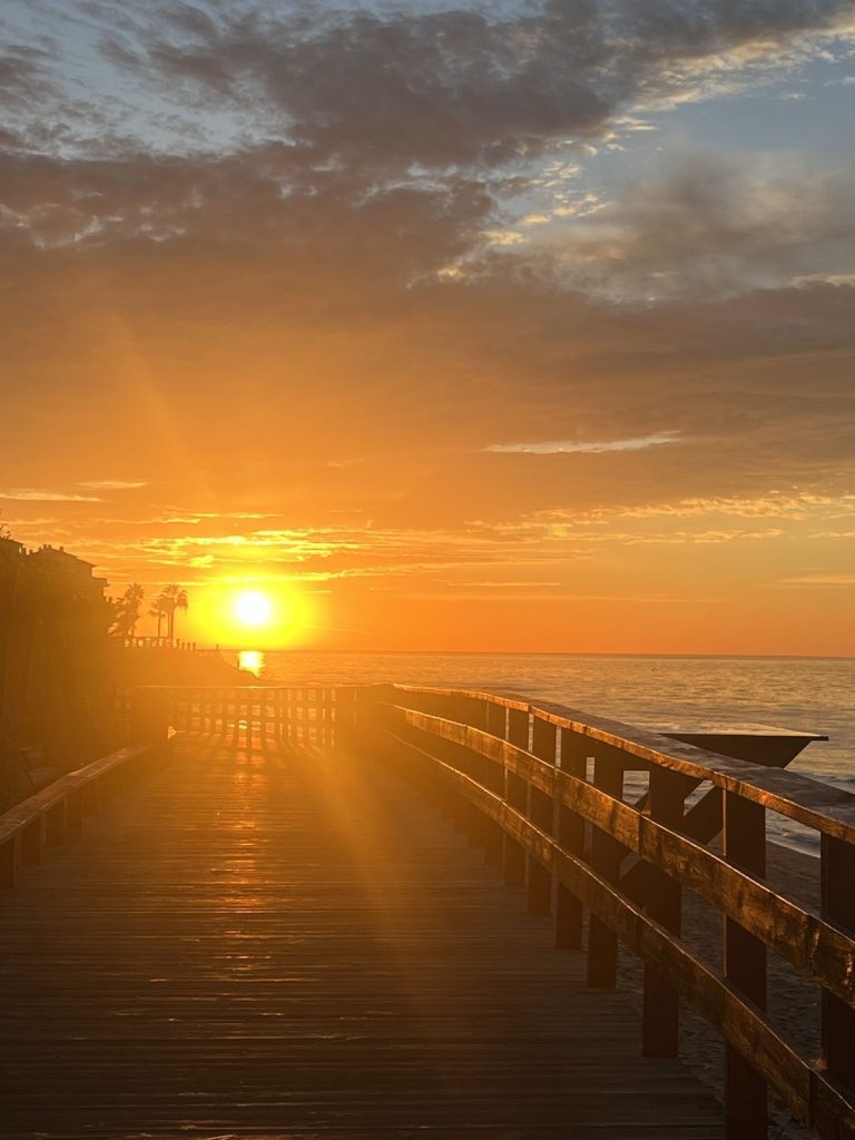 1c204a0d24dec7b674ec8d1deb158730 - 15