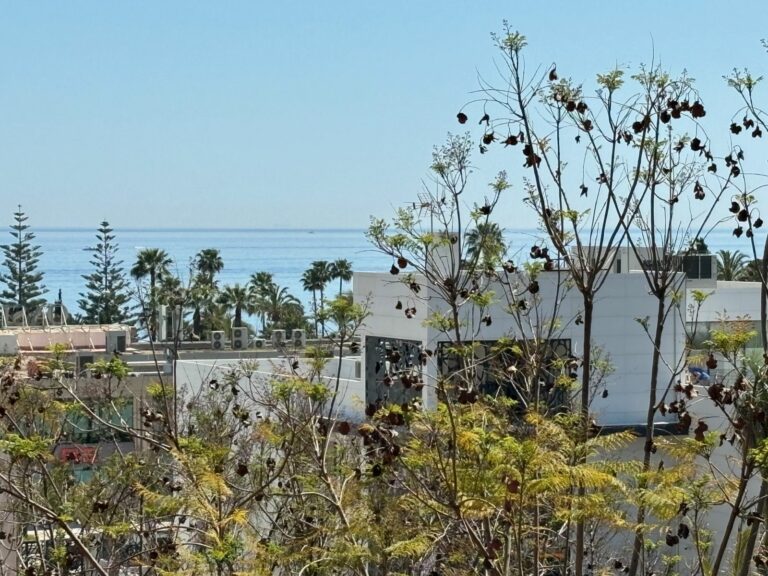 29dffd8a880db2d2279ecf81b8e854cd - 5