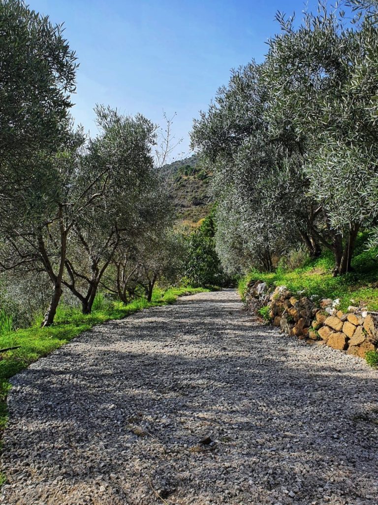 357aed645d24996a404f07e99764586c - 11