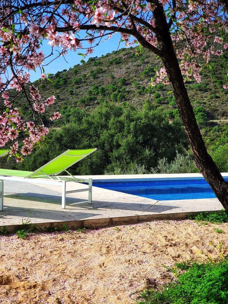 357aed645d24996a404f07e99764586c - 8