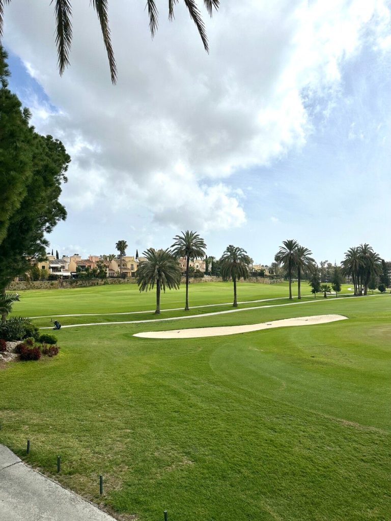 3a3d035e920afe117b9d311c6e894b32 - 2