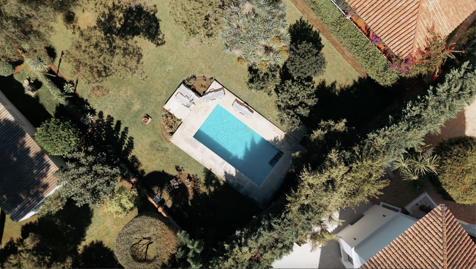 3e124f33e9acfab384238d38fdad3582 - 2