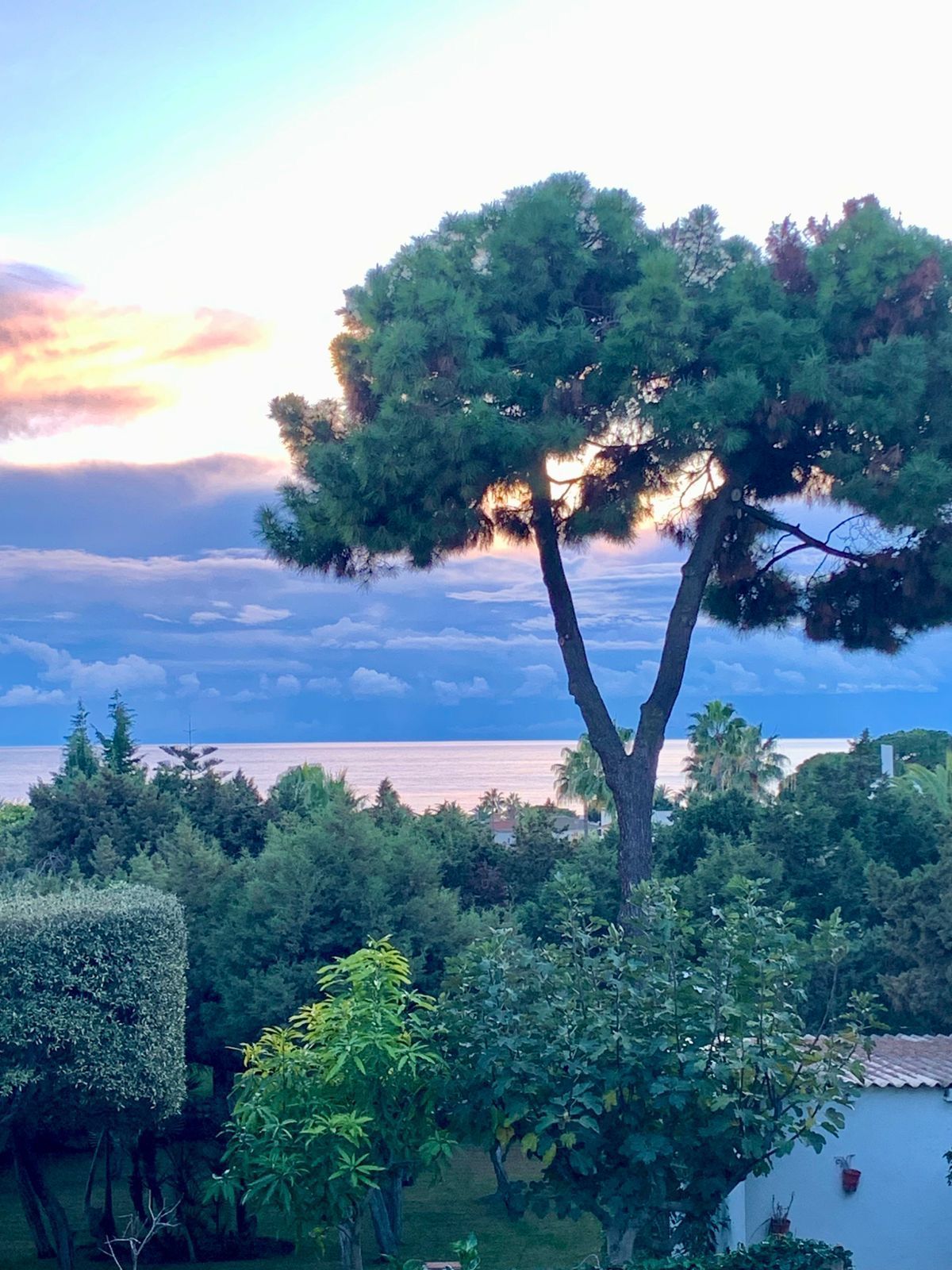 3e124f33e9acfab384238d38fdad3582 - 5