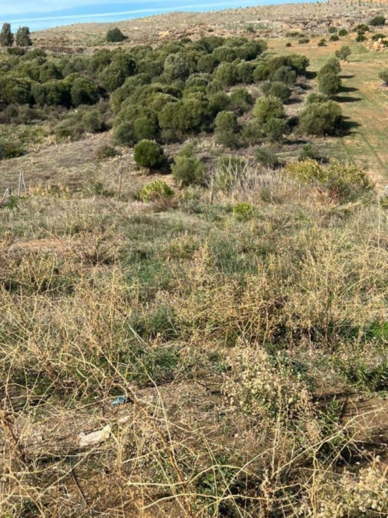 3f42d75a602ef1c82e326f4996181558 - 2