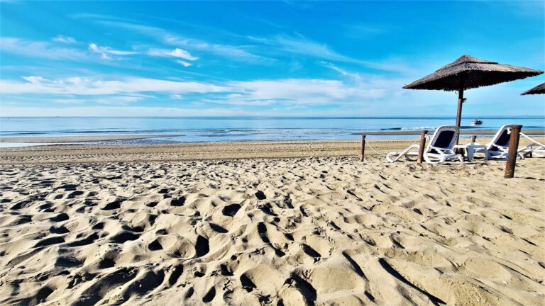 4354e849fc5d9ec96c7d461ae42ec13c - 1