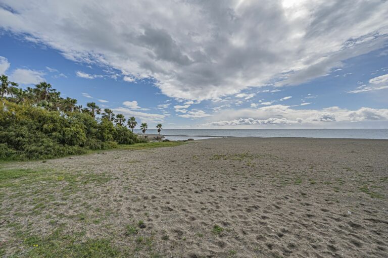 44421e586f2f7522f1104a30a0b4e06e - 1