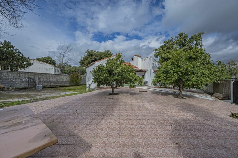 44421e586f2f7522f1104a30a0b4e06e - 11