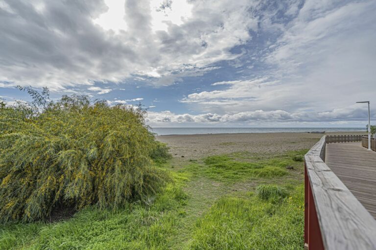 44421e586f2f7522f1104a30a0b4e06e - 3