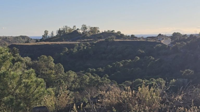 46176b459b5ba14595d6dce2f5c204ca - 1