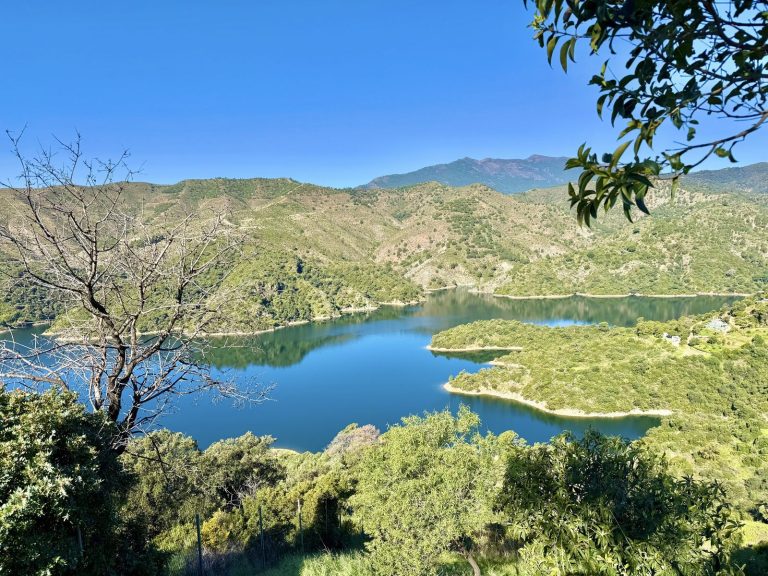 4887c3a661b7be42e7a38ffed84e2d83 - 5