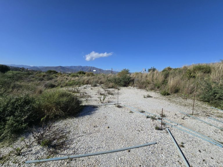 5534cfcbc64b7c93495c1ec329a7fa78 - 10