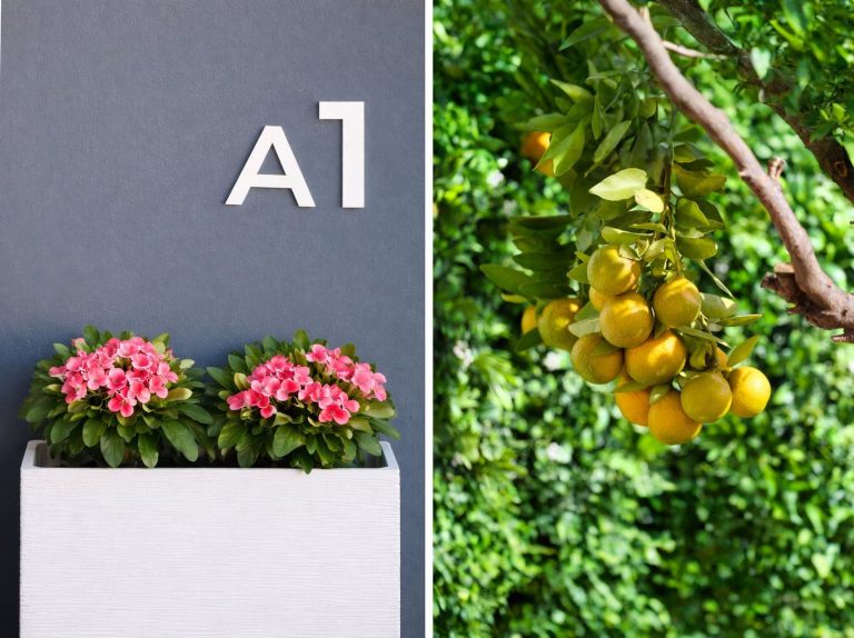 55a08a87c617233b3d94ca03858a70cb - 4