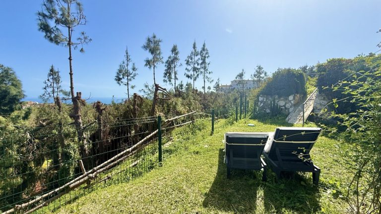 62545d0aee09fd6b1c1931c72504dc2a - 16