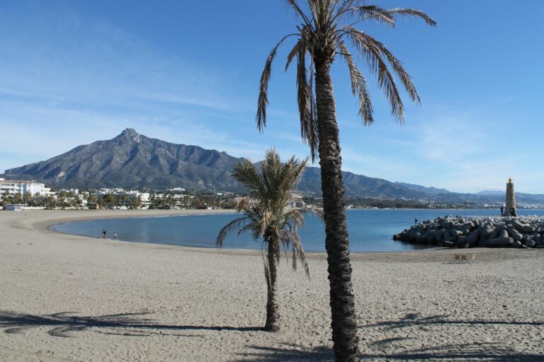 64b643b715b6559d8b54f70f847c712a - 15