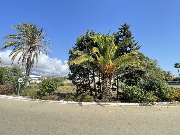 6833fdddc5464dafc410664407dfe5a4 - 14