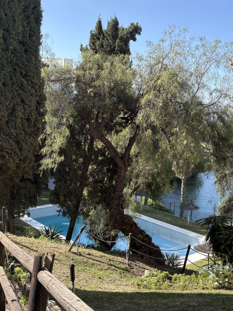 6a1ecfbdc4f00b41bcd569287cf177f6 - 16