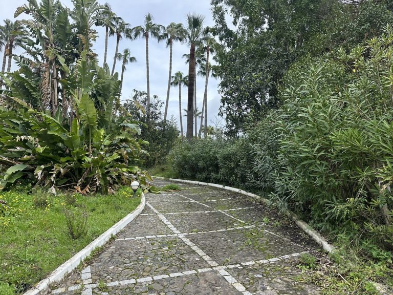 742505500ccb5a3886f238de9d40b7be - 11