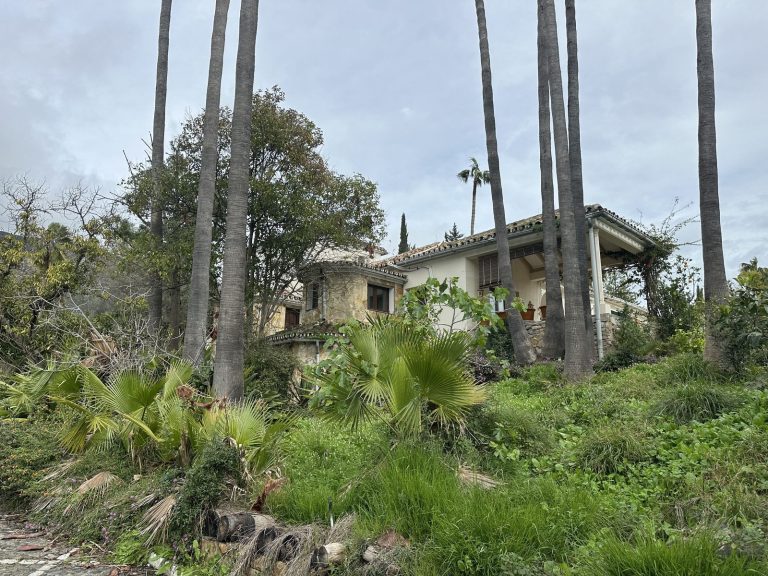 742505500ccb5a3886f238de9d40b7be - 12