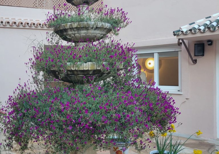 802f3334d921b258609e136939bd0574 - 12