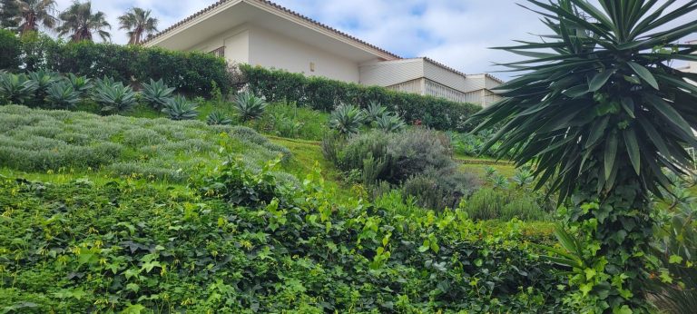 802f3334d921b258609e136939bd0574 - 6