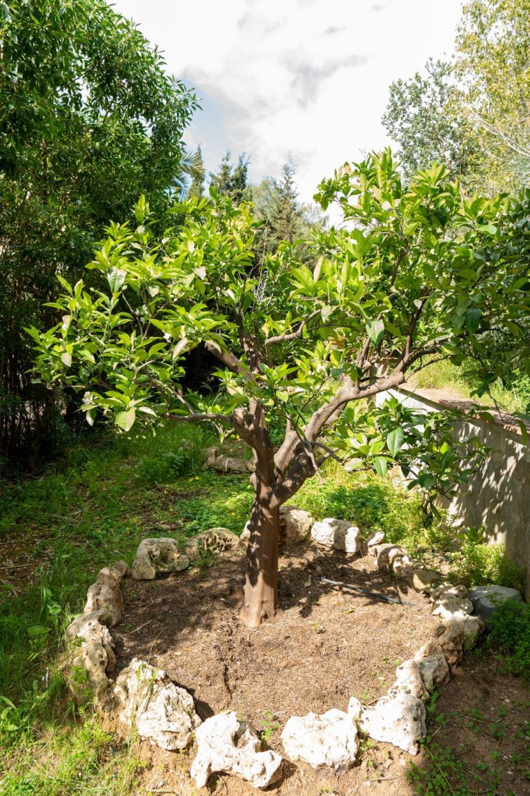 8b0a1b1755f8da3b02b0f2d9161f283c - 6