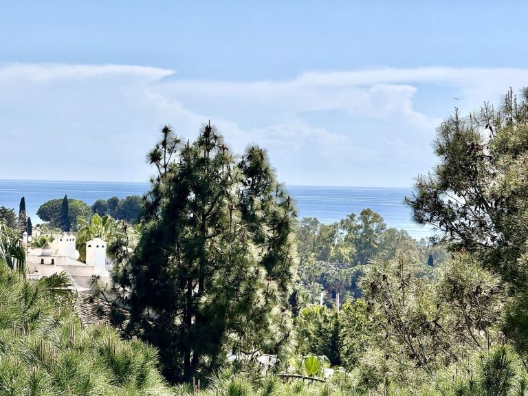 8e8249263b4ec24b96cf28f58bfc27c5 - 6