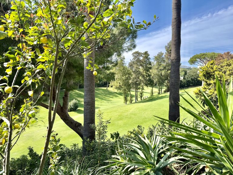 8e8249263b4ec24b96cf28f58bfc27c5 - 7