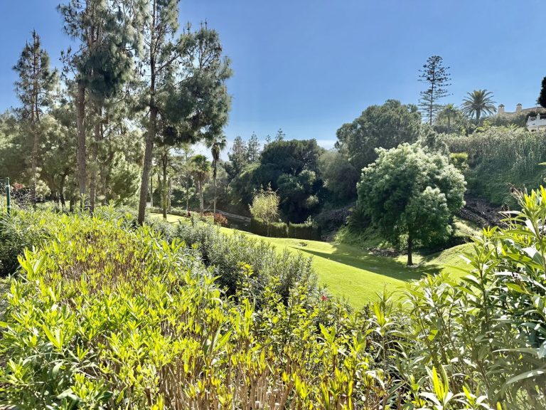 8e8249263b4ec24b96cf28f58bfc27c5 - 8