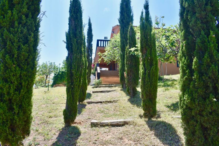 98501721ce816827f7d2470d5636589d - 5