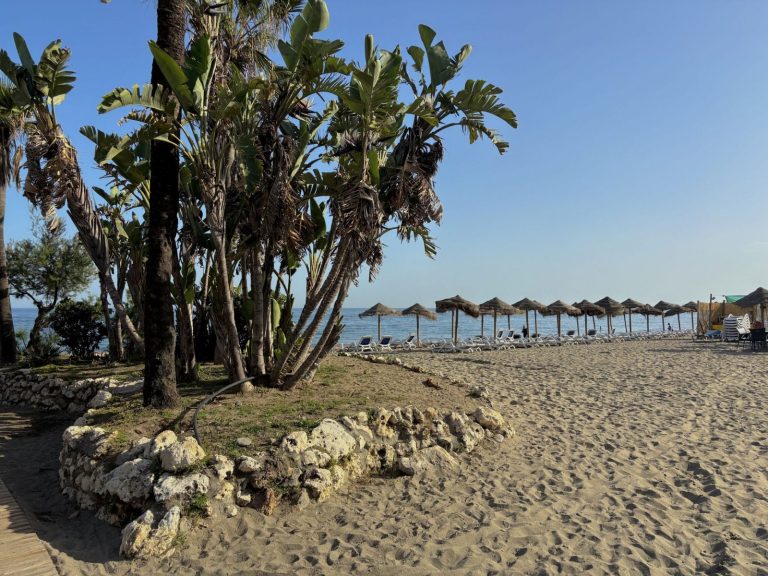 9d7e5e07bff4a378deddb68899083edc - 8