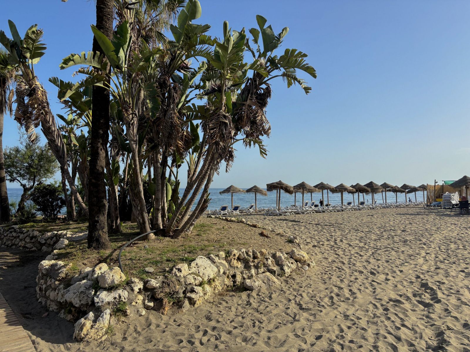 9d7e5e07bff4a378deddb68899083edc - 8